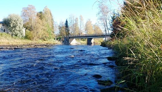 2016) Sää Veden korkeus Kalastettavuus puolipilvinen ylhäällä vaikeahko Kärsämäenjoen alaosalla 4-tien sillan alapuolella vain satakunta metriä ennen laskua Pyhäjokeen kalastettu syvä ja louhikkoinen