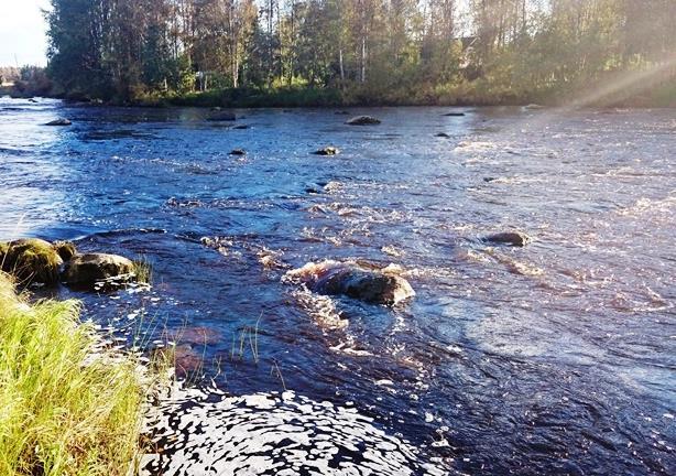 Vedenpinnan taso normaali - hieman tavanomaista korkeammalla. Lohkareinen ja paikoin syvä ja vuolas koeala, josta johtuen vaikea kalastaa.