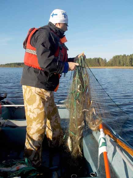 Puruveden Ristilahden kalastorakenne syksyllä 2014 sekä alustavat