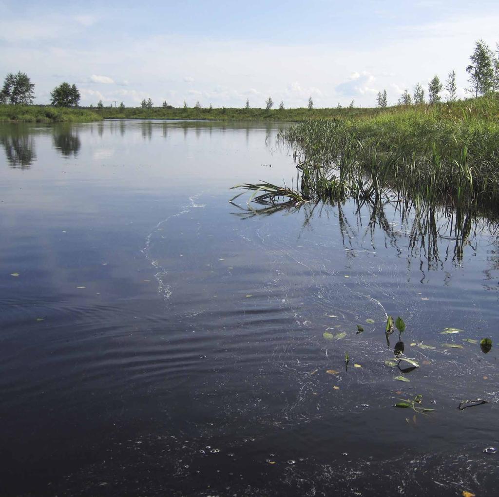 Raportteja 92 2013 Kalojen kasvu Kyrönjoella vuosina 2007