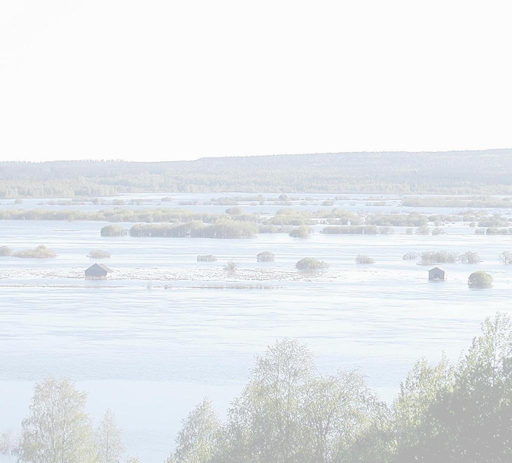 Tornionjoen vesienhoitoalueen