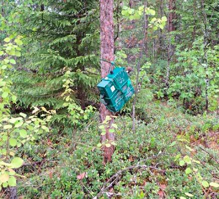 Vastaanottaja WPD Asiakirjatyyppi Luontoselvitys Päivämäärä 18.8.2014 Viite 1510004690-003 Päivämäärä 18.8.2014 Laatija Petri Hertteli Tarkastaja Petri Hertteli (18.