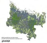 Perustetaan seutufoorumi jatkamaan visioprosessia. ROOLIJAKO Seutufoorumi laatii metropoliseudun alueellisen työnjaon ja kehitysstrategian.