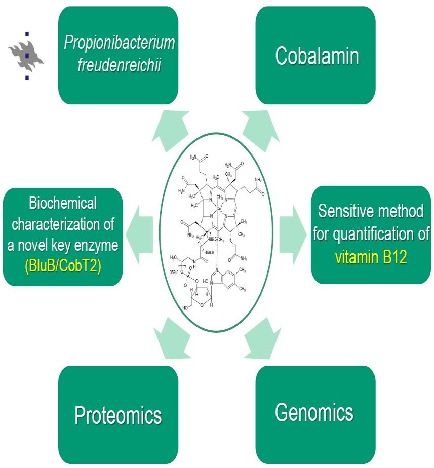 Bioprosesseilla vitamiineja kasvimatriisiin Prof. Vieno Piironen, dos. Pekka Varmanen, prof.