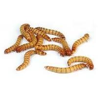 emäs/happo, entsyymi) proteiinin funktionaaliset ominaisuudet (liukoisuus, emulgoituvuus, vedensidonta ) proteiinin