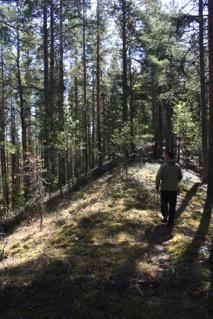 Hannu, Anitta ja Kaarina Kojonsaaressa. Kuvat: Kaarina Tiainen ja Marina Petrova. Laatokan sora-, kallio- ja hiekkarantaa.