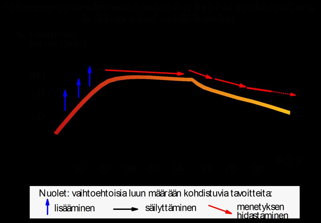 Luuliikunnan ajoittaminen Lapset Nuoret Aikuiset