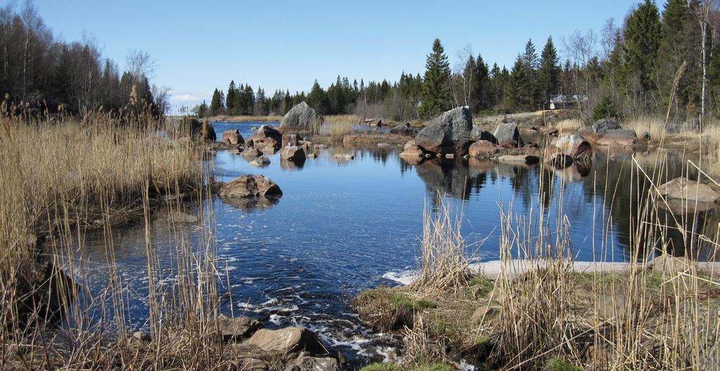 Västergårdsfladan pienvesi hankealueen länsilaidalla. 3.