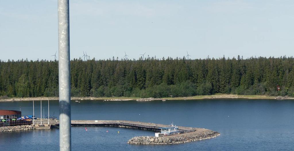 vioida vaikuttavan voimakkaimmin lähinnä varttuneita ja vanhoja kuusimetsiä suosiviin lajeihin (mm.