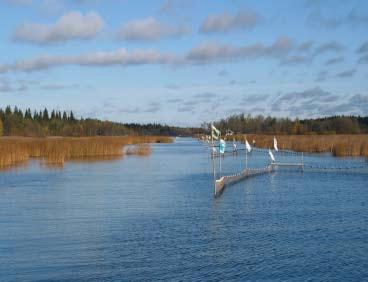 3.2.4 Nahkiaisen pyynti ja saaliit Nahkiaispyytäjien suosituin pyyntiväline oli nahkiaisrysä, jolla 11 pyytäjää kalasti kaikkiaan 1 627 pyyntikertaa (taulukko 3).
