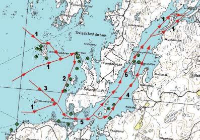 Nahkiaisenpyytäjää 7 6 5 4 3 2 1 0 Sama Vähentynyt ei osaa sanoa Kuva 3. Nahkiaispyytäjien arvio Lapväärtin-Isojoen nahkiaiskannan kehityksestä (n=13). 3.2.5 Vaelluskalojen liikkuminen suistossa Taimen Yksitoista tiedusteluun vastannutta merkitsi karttaan taimenen nousureittejä tai saantipaikkoja.