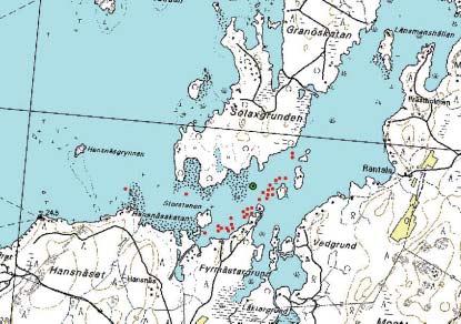Siika Merkinnän ja vapautuksen jälkeen siiat liikkuivat pienellä alueella lähellä vapautuspaikkaa.