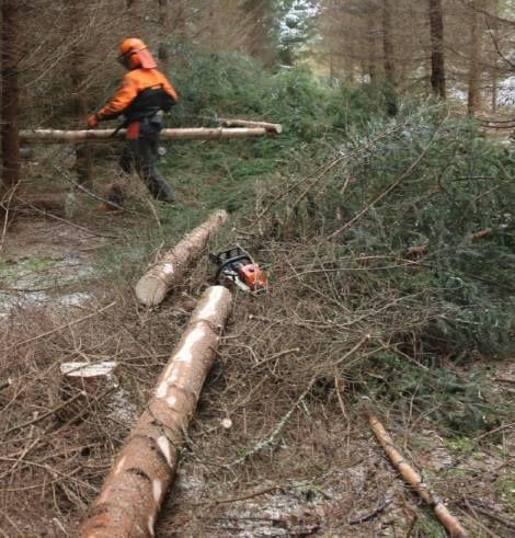 Kuitupuulle on kasvava kysyntä Kuitupuuksi kelpaa ostajasta riippuen vähintään 3 metriä pitkät ilman lahoa olevat puunosat Kuitupuusta tehdään