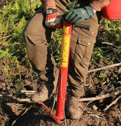 Istutuksella syntyy uusi metsä helposti Istuttaminen on nopein tapa saada uusi metsä aikaiseksi Istuttamalla perustettu taimikko syntyy