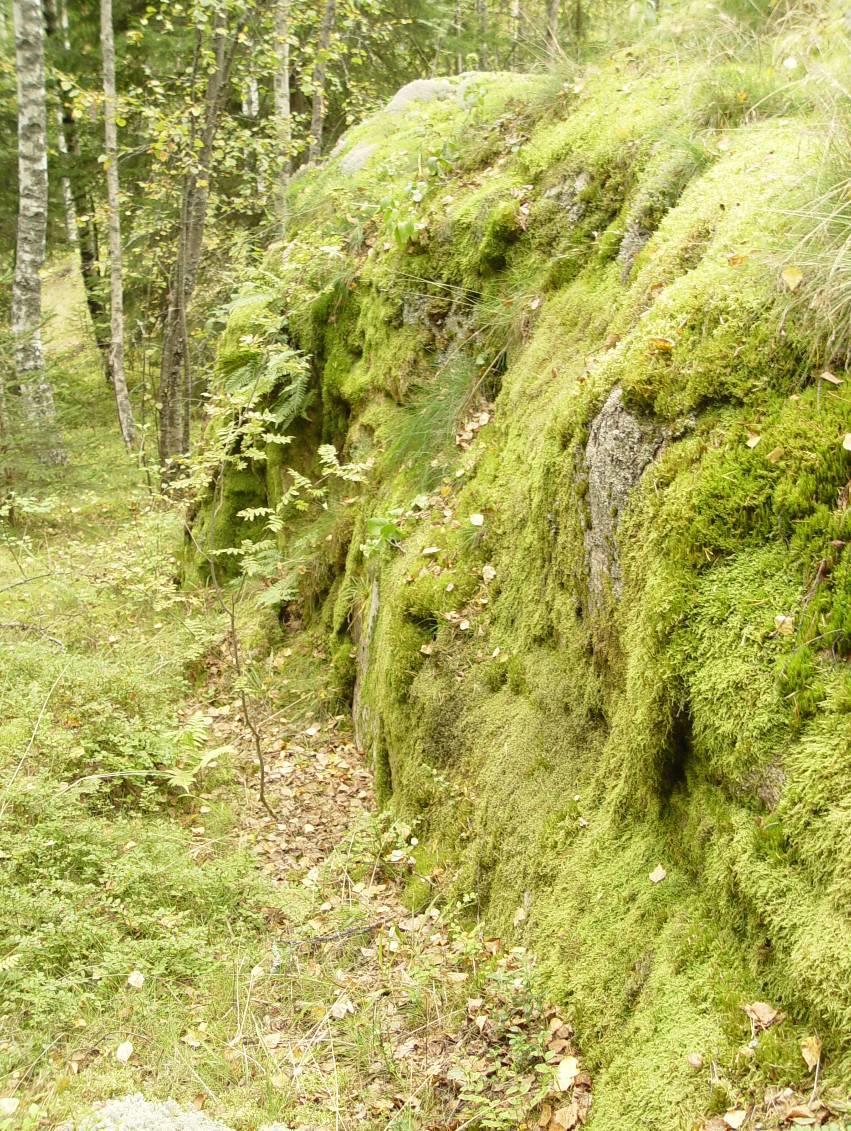 Tulotien asemakaava 3.5.2017 7 (32) Maisema Alue on tyypillistä etelärannikon maisemaa, jossa kallioselänteet ja savilaaksot vuorottelevat.