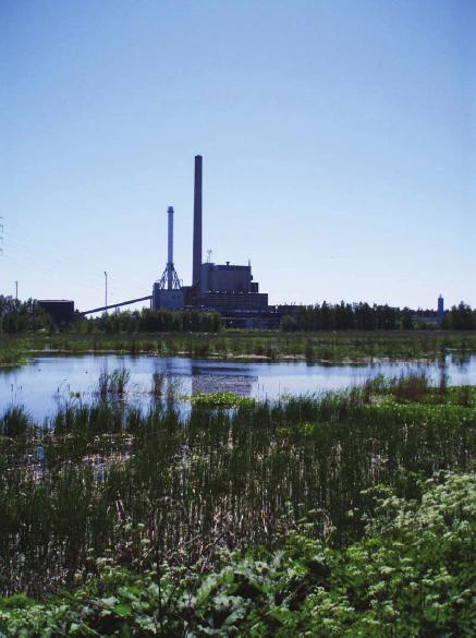 FINNOON OSAYLEISKAAVA Finnoon altaan sedimenttitutkimukset Raportti