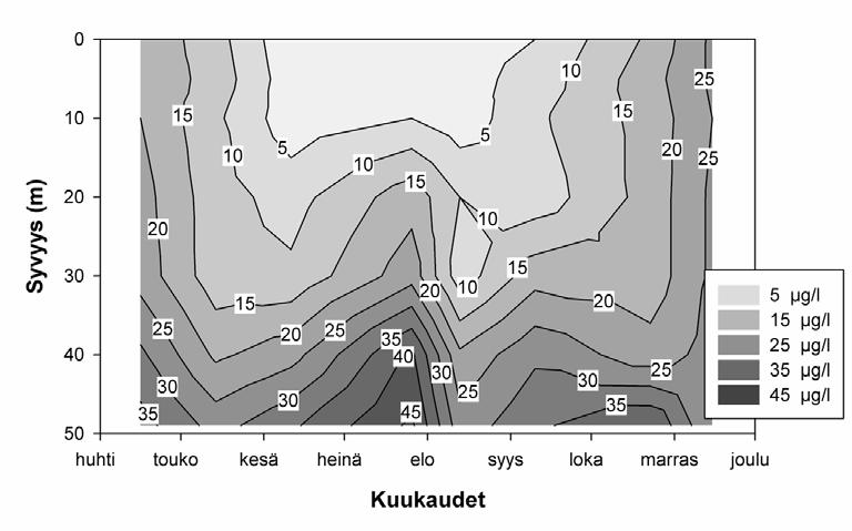 Fosfaattifosfori (µg/l) Fosfaattifosfori (µg/l) 6 Katajaluoto 4 2 1 2 3 4 5 6 7 8 9 1 11 12 6 Länsi-Tonttu 4 2 1 2 3 4 5 6 7 8 9 1 11 12 Fosfaattifosfori (µg/l) Fosfaattifosfori (µg/l) 6 4 2