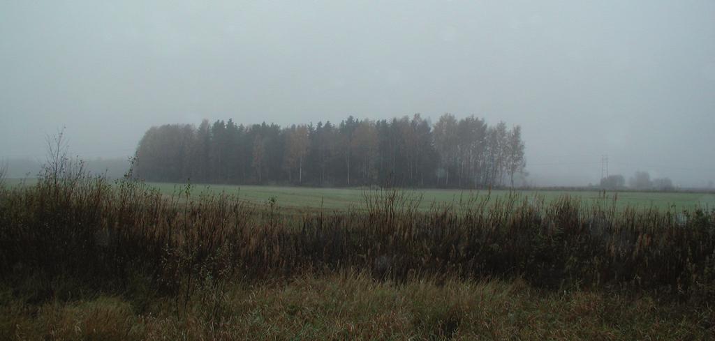 Runsaasta jalopuiden määrästä voi päätellä, että alue on ollut joskus osa läheisen kartanon puistoa. Lehmusten ja vaahteran lisäksi lehdon lehtipuustoon kuuluvat haapa ja tervaleppä.