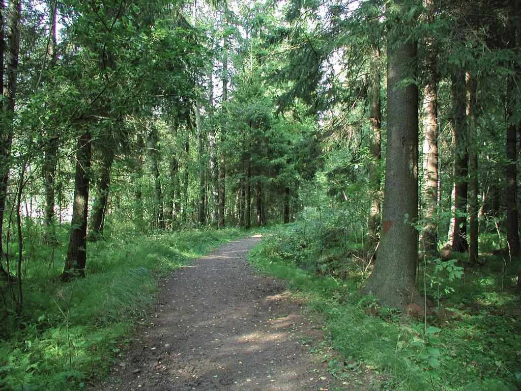 ja käyttösuunnitelma, josta lisätietoa julkaisussa: Mikkola, N. & Nukki, H. (toim.) 2006. Porin metsän monitavoitteinen luonnonhoito- ja käyttösuunnitelma. Porin Kaupunkisuunnittelu 31.12.2006. Porin kaupunkisuunnittelusarja C60/2006.