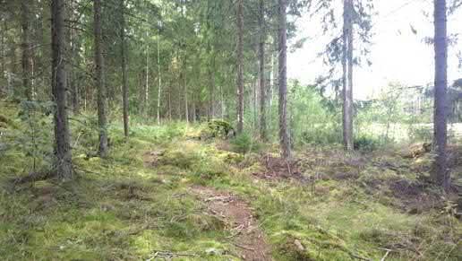 päässä Kuva 2.