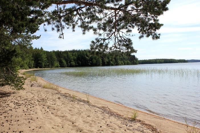 Punkaharjun-Puruveden suojelualue- ja tutkimusmetsäkokonaisuuden hoito ja käyttö HKS on tietyn suojelualueen maankäytön pitkän aikavälin strateginen suunnitelma ja linjaus.
