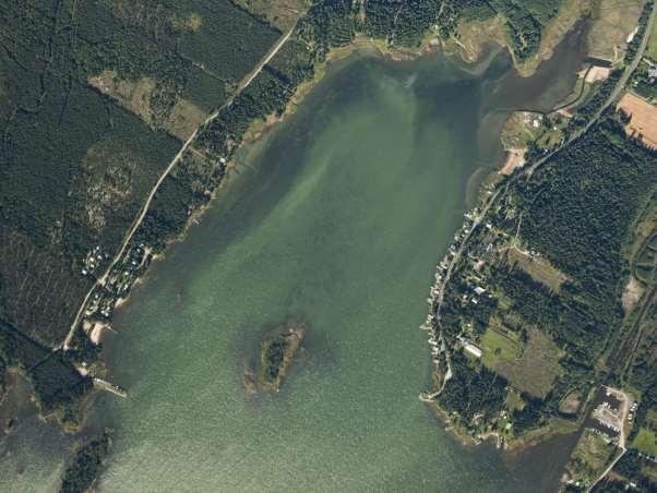 Kuva 6. Ilmakuva Tjärlaxin uimarannasta lähiympäristöineen (kevät 2009). 6.1 Jätevesiverkostot Kunnan vesijohto on vedetty Tjärlaxin niemelle, Tjärlaxiin ja Vargholmeniin.