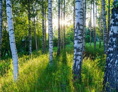 luonnon puhtaana ja kasvit terveinä.