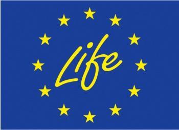 Tolonen Paahde-LIFE