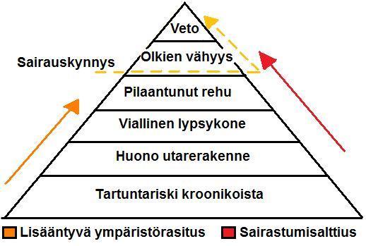 29 kimusten ansiosta ymmärrys ja tietämys tuotantoympäristön vaikutuksesta karjan utareterveyteen on laajentunut.