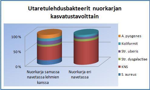 56 KUVIO 17. Utaretulehdusbakteerit nuorkarjan kasvatustavoittain.