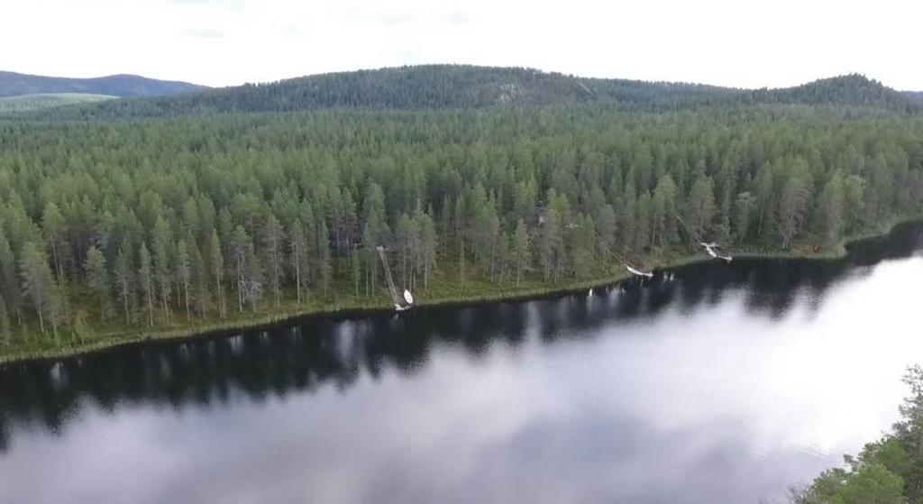 alue on maaperältään, pinnanmuodostukseltaan ja puustoltaan varsin samanlaista kuin edellä selostettu alue. Alueella ei ole ollenkaan kosteikkoja vaan se on kokonaan kuivaa mäntykangasta.