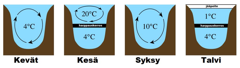 Suolistoperäiset bakteerit eli lämpökestoiset koliformiset bakteerit Koliformisia bakteereita tavataan suurina pitoisuuksina ihmisten ja tasalämpöisten eläinten suolistossa.