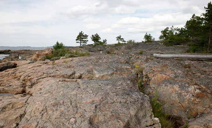 Rantavyöhykkeellä on lähes