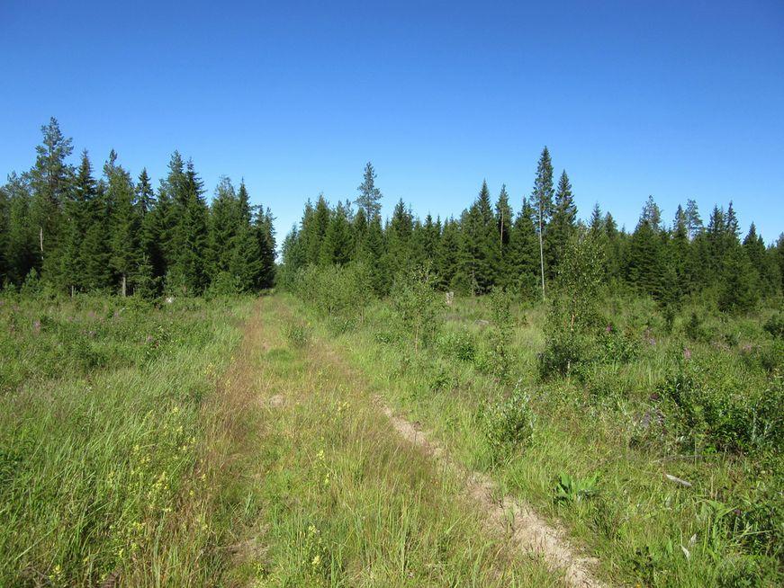 Lähdesuonnevan kaakkoispuolella