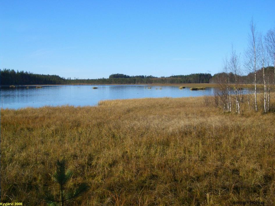 1 Kyyjärvi Pienvesien
