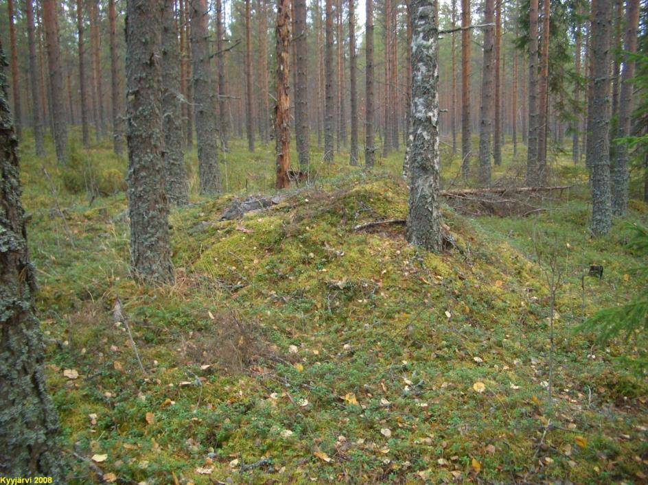puoleinen