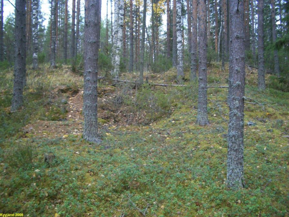 9 Tervahauta rinteen päällä, laskuränni keskellä.