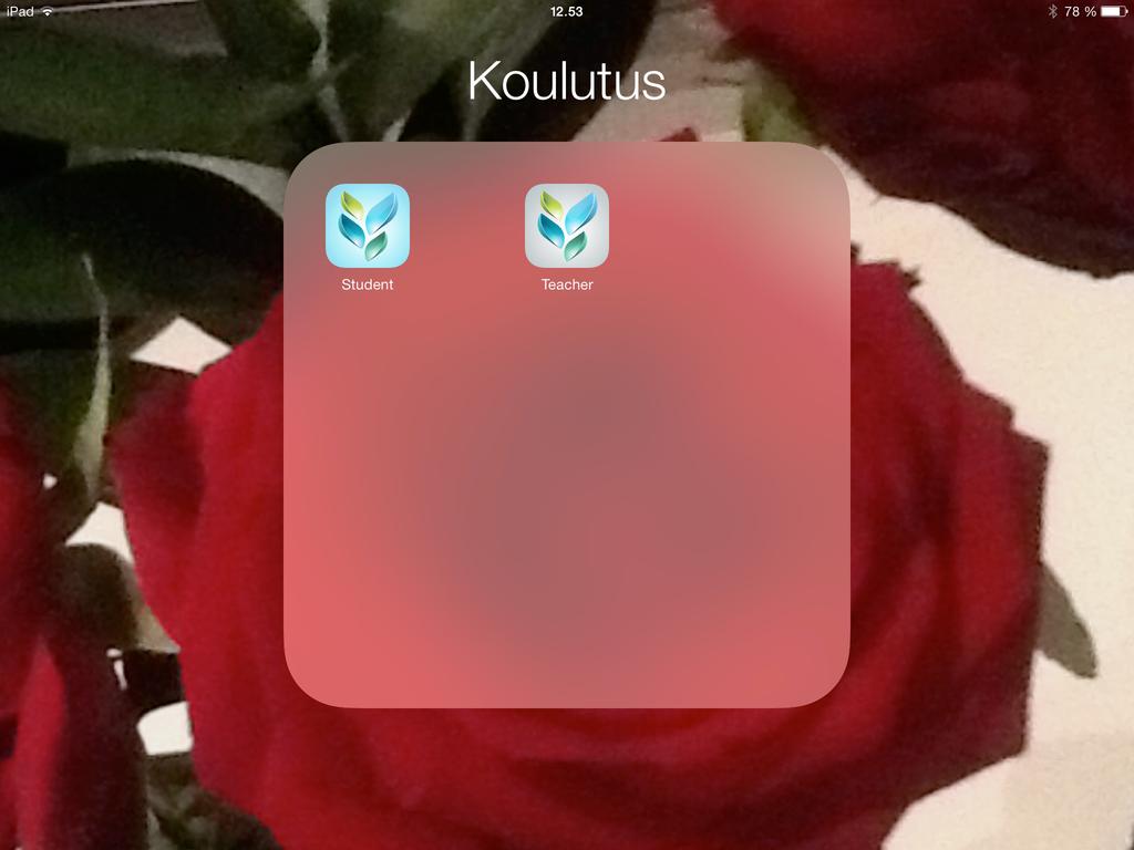 hyödyntämisessä täydennyskoulutuksessa?