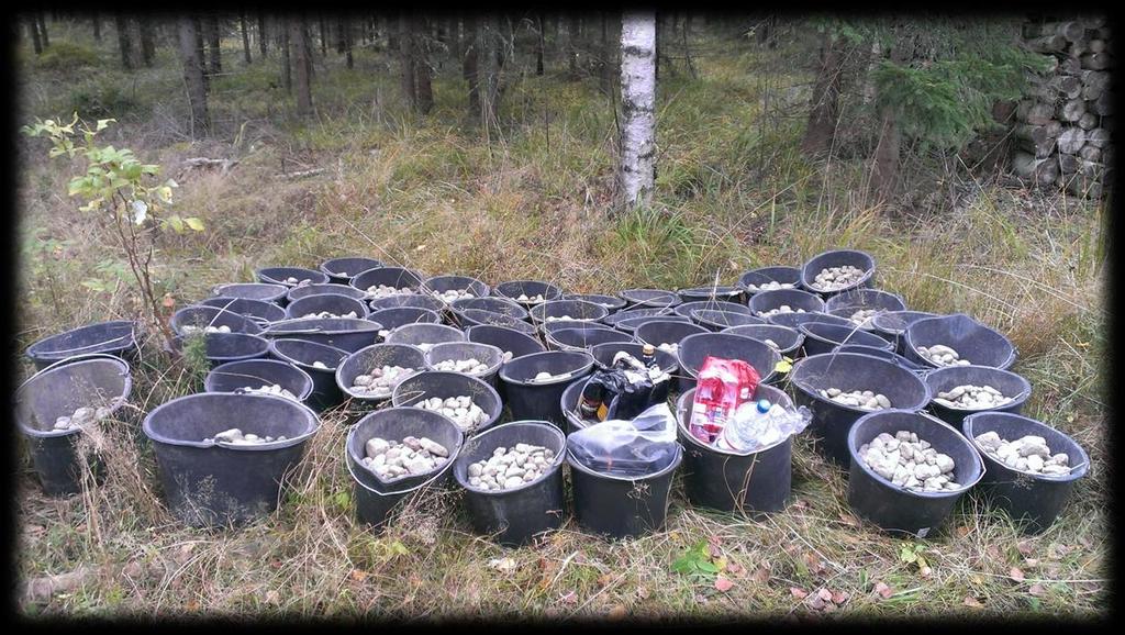 KUVA 12. MULLIKKAKOSKELLE KUTUSORAT KIIKUTETTIIN ÄMPÄREILLÄ.