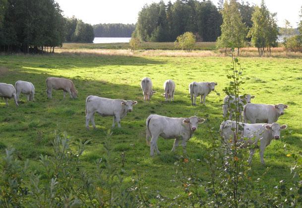 sekä esittää parannusehdotuksia mahdollisille haitallisille vaikutuksille.