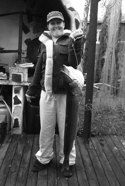 Hyvä haukikesä Pitkäjärvellä Gunnar Sjögrenin verkkoon tarttui Pitkäjärvellä lokakuussa 6,5 kg painava