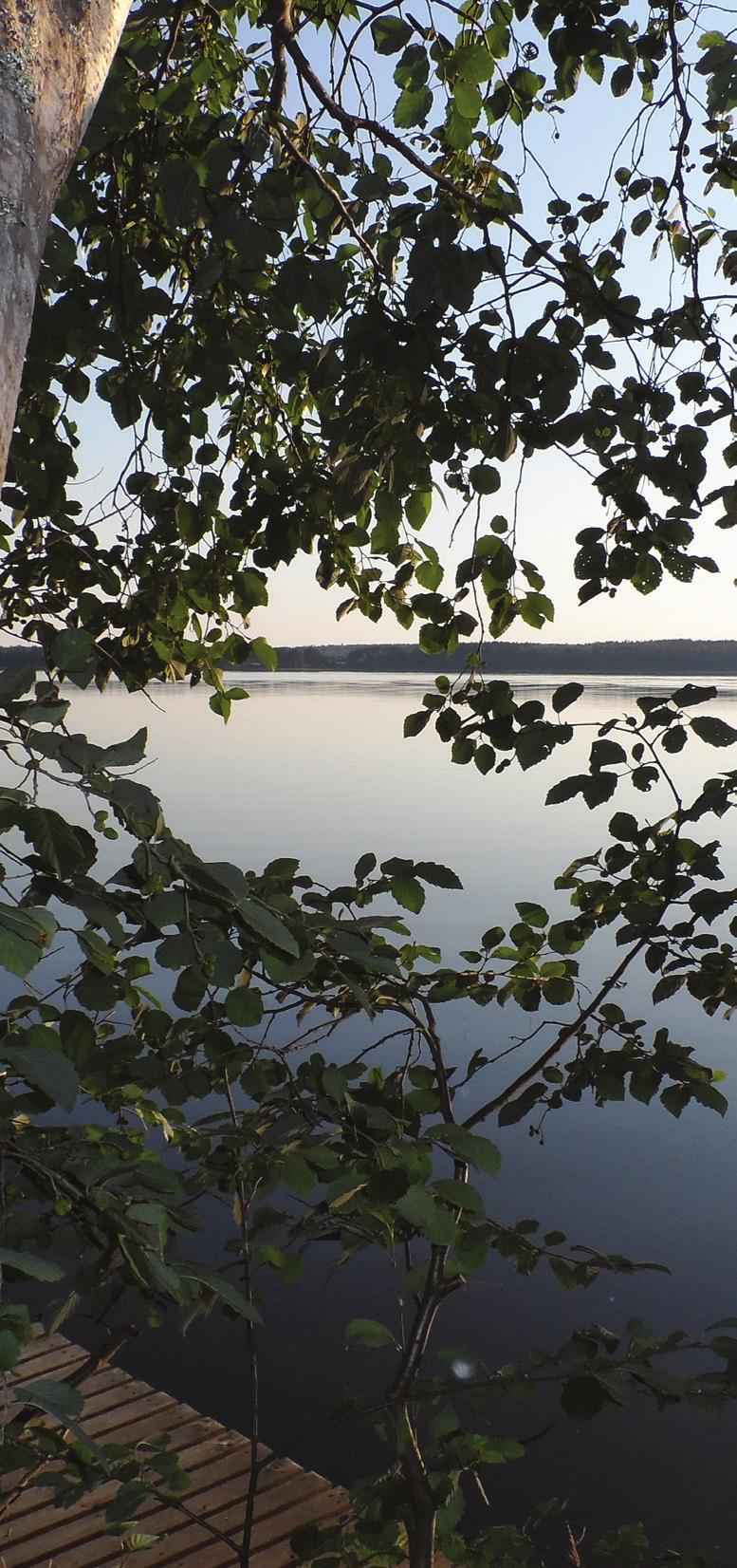 Voimaannu ja virkisty -ryhmä pitkään omaishoitajina toimineille MAtkakerho tiedottaa! Tervetuloa mukaan uuteen, syksyllä alkavaan ryhmään jossa luovien menetelmien avulla tuodaan elämään uusia värejä.