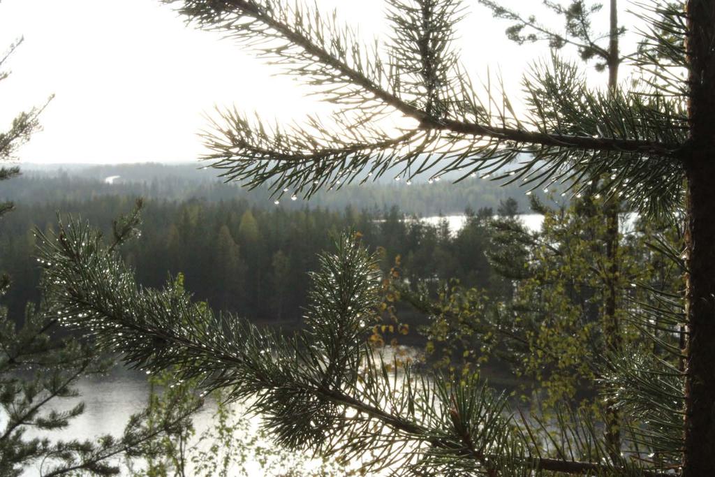 Suomen lukuisat harjualueet toimivat tehokkaina