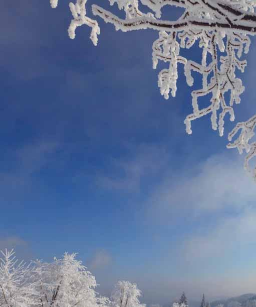 Aukioloaikamme muuttuvat 1.3.2017 alkaen. Konttori avoinna Ma pe klo 10.00 