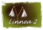 Linnea2-ohjausryhmän kokous Aika: 13.2.2003 klo 14-16.