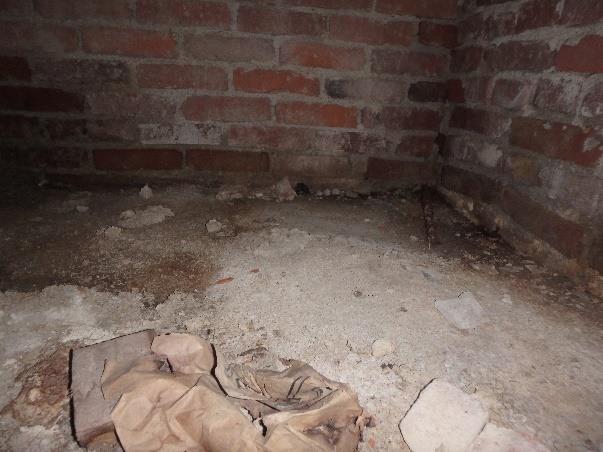 runsasta mikrobikasvua ja kosteusvaurioon viittaavaa mikrobilajistoa ( viite vauriosta). M29, vv Kuva 7. Kellarin alapohjan rakenneavaus.