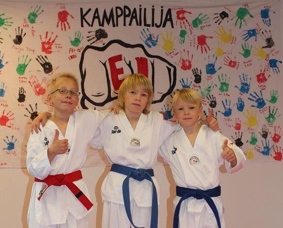 Muut teemaharjoitukset Mimmitaekwondo Vuonna 2014 seurassa aloitettiin epävirallinen naisten oma taekwondoharjoitus, mimmitaekwondo.