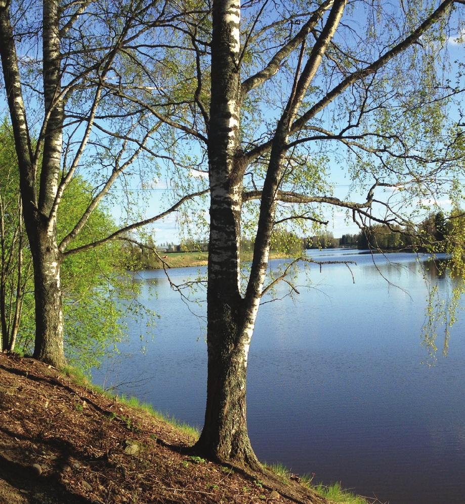 3 Huittinen toimintaympäristönä Huittinen on noin 10 500 asukkaan kaupunki, joka sijaitsee Satakunnan maakunnassa. Huittisten kaupunkiin on liittynyt Vampulan kunta vuoden 2009 alusta.