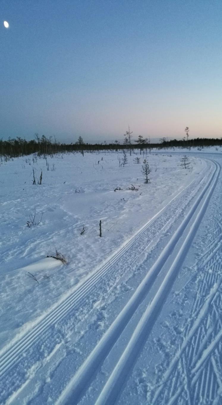 - Lääkärit 14-15.03.