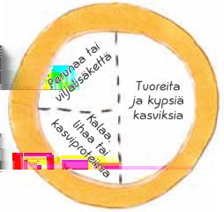 Lautasmalli auttaa monipuolisen aterian koostamisessa. Puolet lautasesta täytetään kasviksilla, esimerkiksi raasteilla, salaatilla ja lämpimällä kasvislisäkkeellä.